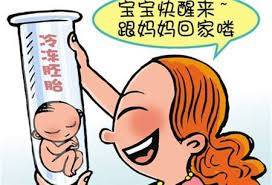正规供卵代生子